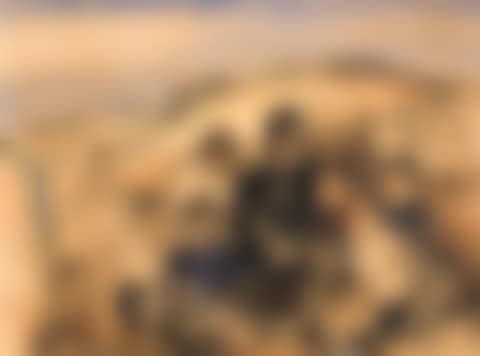 Sans titre (Dans les dunes) (preview)