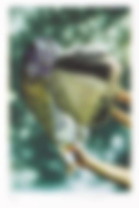 Leap Year . (preview)