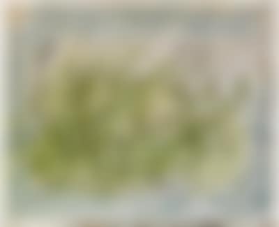 Vegetaux (preview)