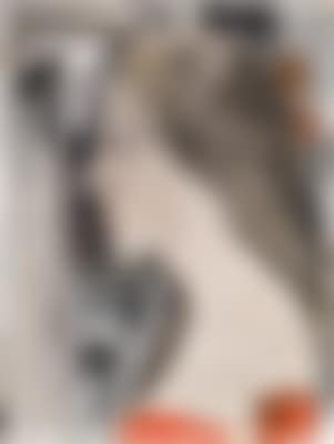 Jeune femme de profil (preview)