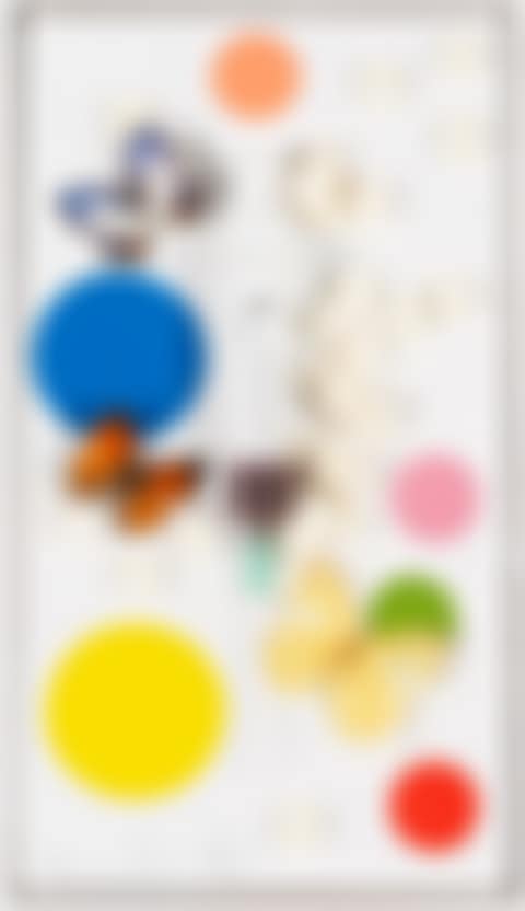 Fun (preview)
