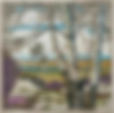 Birch Trees with Spring Snow (preview)