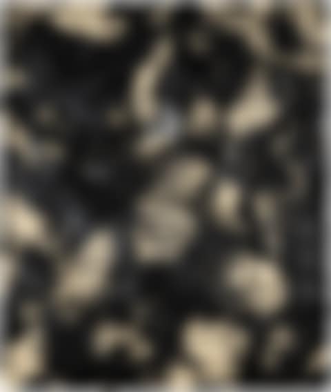 Untitled (SK-PX) (preview)