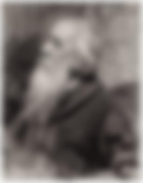 Portrait de vieil homme à la barbe  (preview)