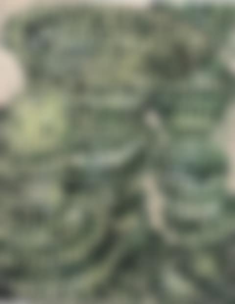 Chromosomes (preview)