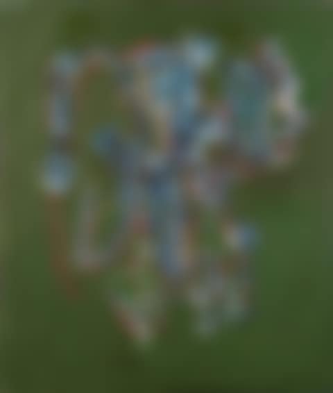 Abstract (preview)