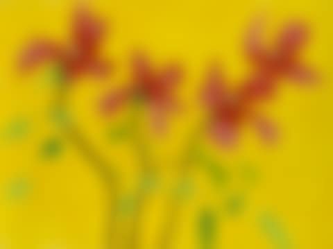 Red Dogwood I (preview)