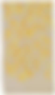Giallo e giallo (preview)