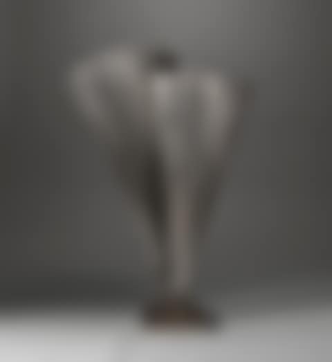 Untitled (Double Spray) (preview)