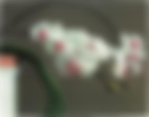 Orchidee II (Orchid II) (B. 103) (preview)