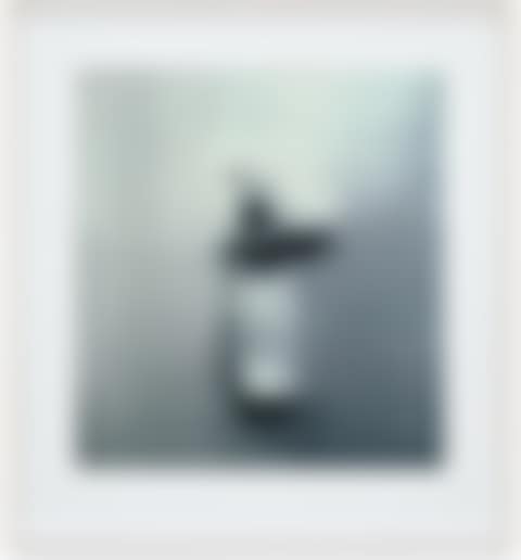 Loo Paper (B. 83) (preview)