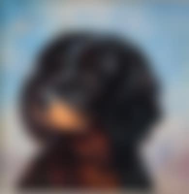 A Setter (preview)