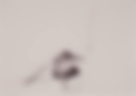 Ohne Titel (5.5.75) (preview)