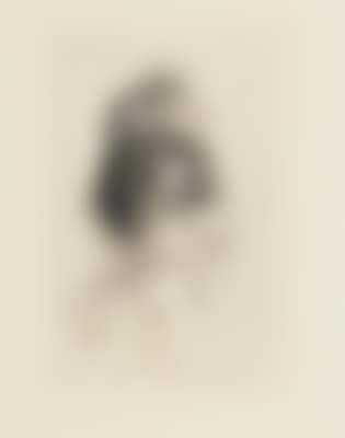 „Buste de Bellone“ (preview)