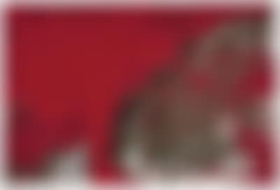 „Levitikus XII“ (preview)