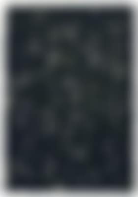 Ohne Titel (preview)