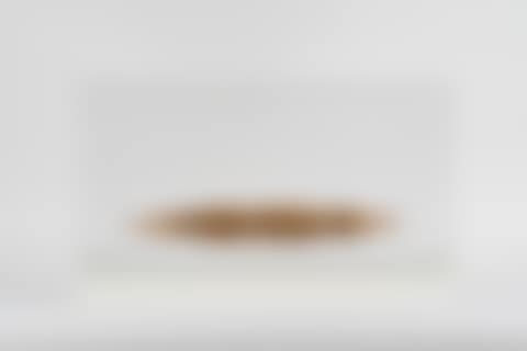 Suppo CCW (scale model 1:26)) (preview)
