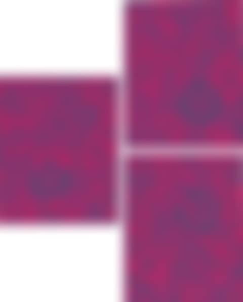 Three works: Flower Collaboration with MADSAKI (Pink) (i) A; (ii) B; (iii) C (preview)