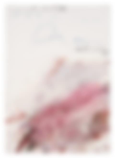 Untitled (Formian Dreams + Actuality) (preview)