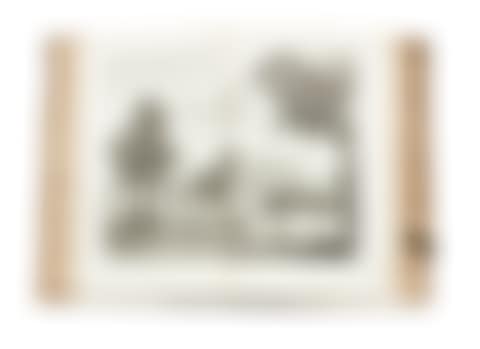 Novum ac Magnum Theatrum urbium Belgicae Foederatae . (preview)