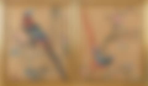 TWO FRAMED CHINESE WATERCOLORS OF BIRDS AND FLOWERS (preview)