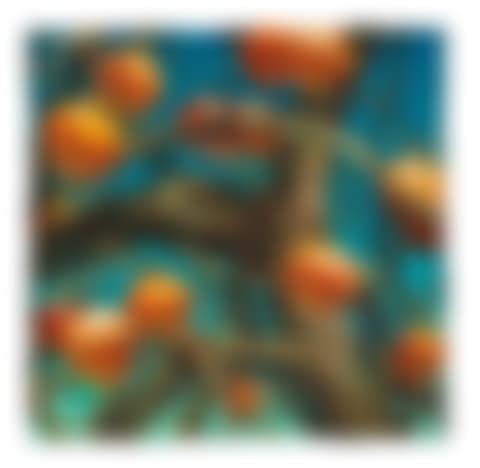 Persimmons (preview)