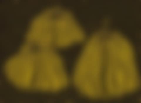 Three Pumpkins (preview)