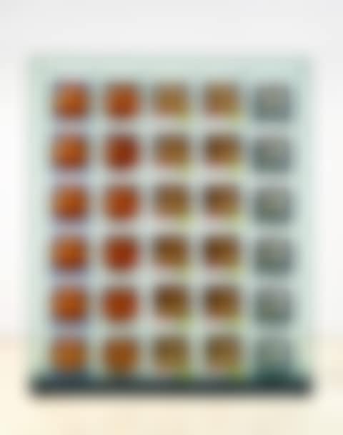 Encased-Five Rows (preview)