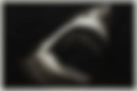 Study of Shark with Scar (preview)