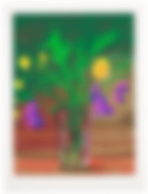 Dandelions (preview)