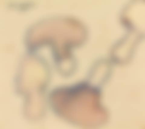 Mushrooms (preview)
