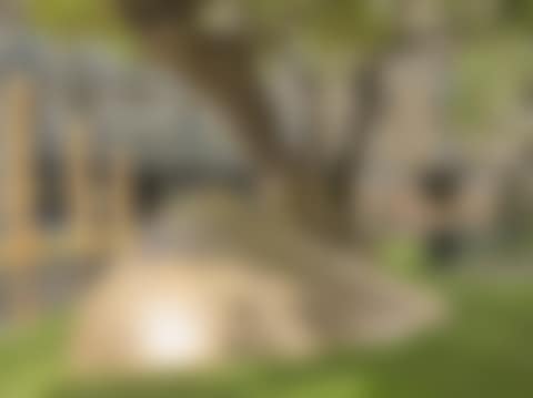 Le sein (preview)