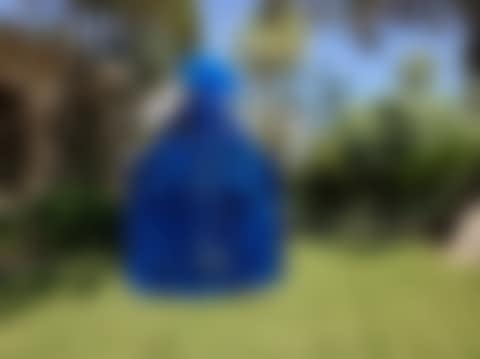 Reina Mariana Blue (preview)