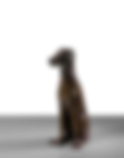 Chien (preview)