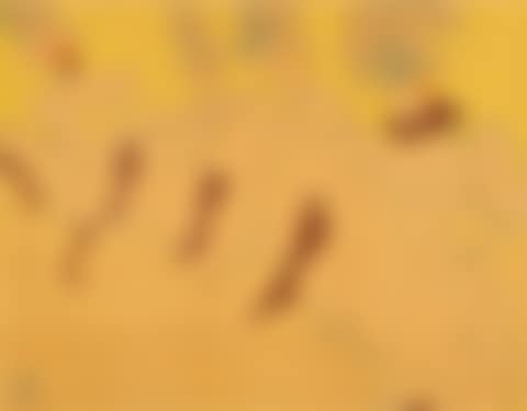 "La troupe de Mademoiselle Églantine" (preview)