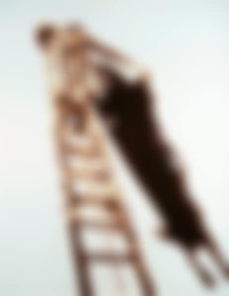 "Shadow Painter (Pictures of Chocolate) " (preview)