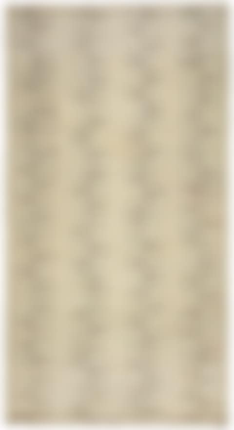 CARPET (preview)