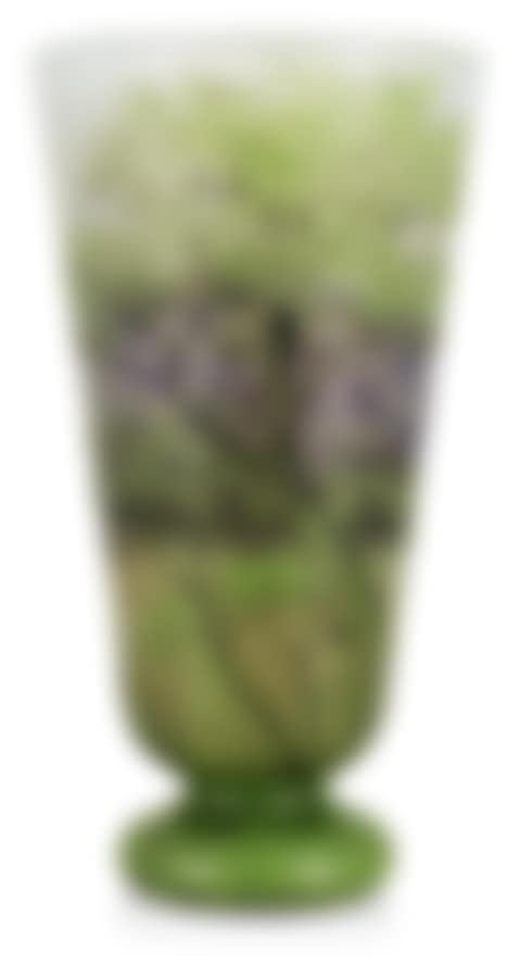 An art nouveau Daum glass vase (preview)