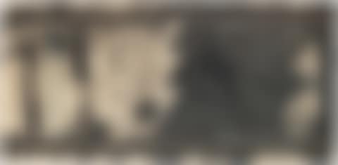 Rails (G. 89) (preview)