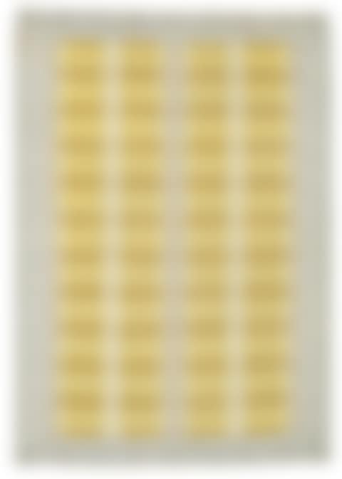 CARPET (preview)