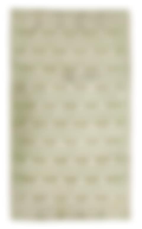 CARPET (preview)