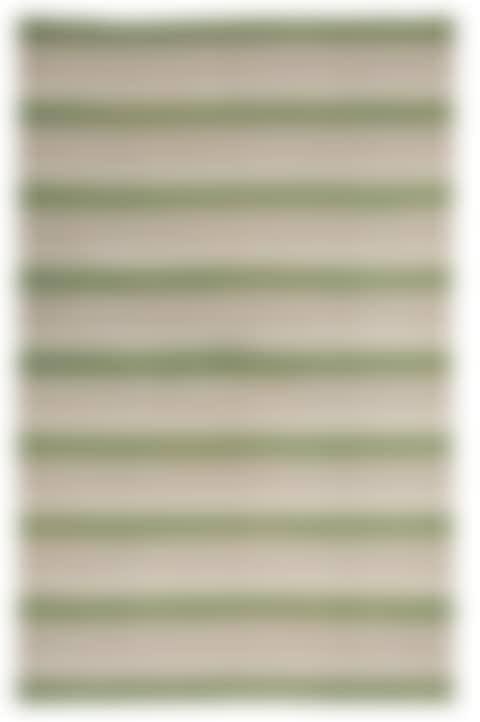 CARPET (preview)