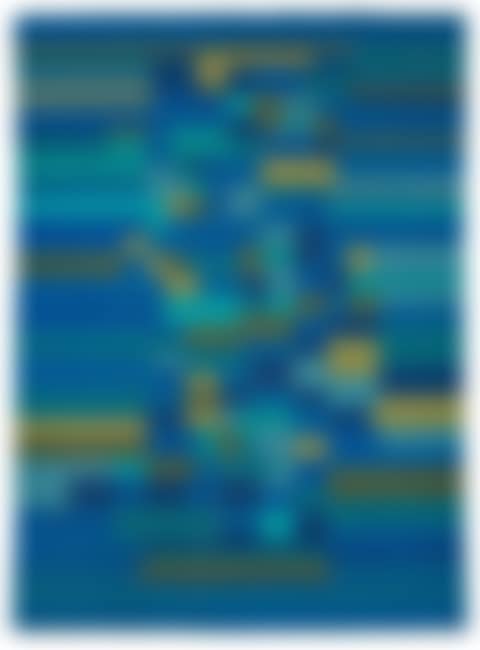 CARPET (preview)