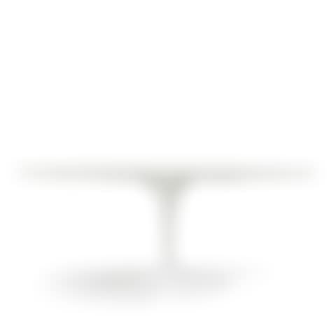 a "Tulip" oval marble top dining table (preview)