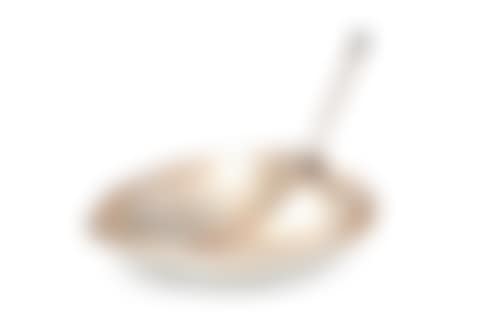 SILVER BOWL (preview)