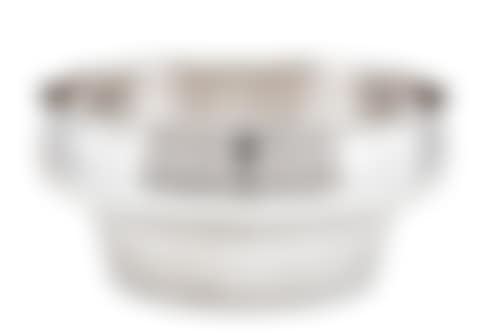 A SILVER BOWL (preview)
