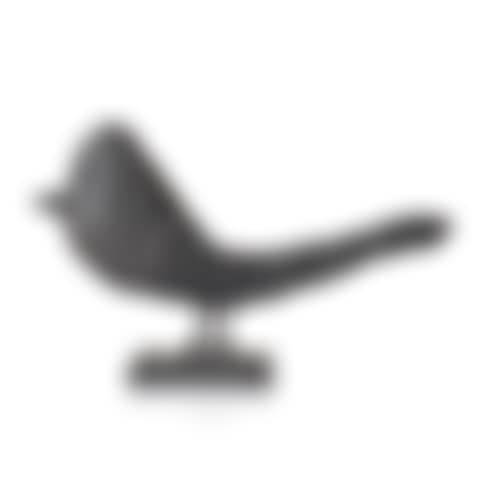 "Bird" (preview)