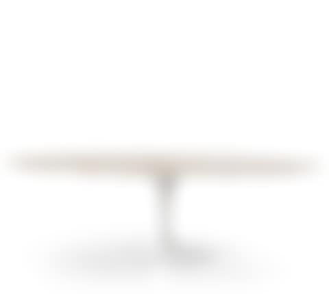 a "Tulip" dining table (preview)