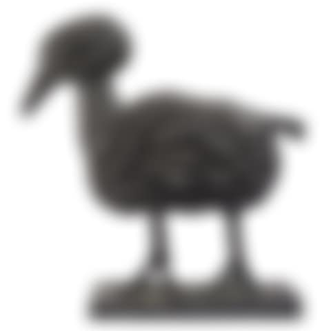 "Bird" (preview)