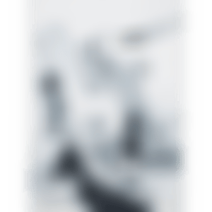 Old Partner (preview)